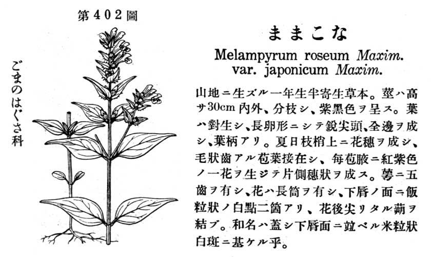 植物図鑑