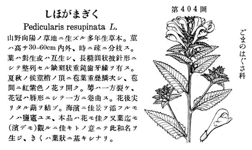 植物図鑑