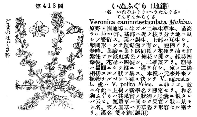 植物図鑑