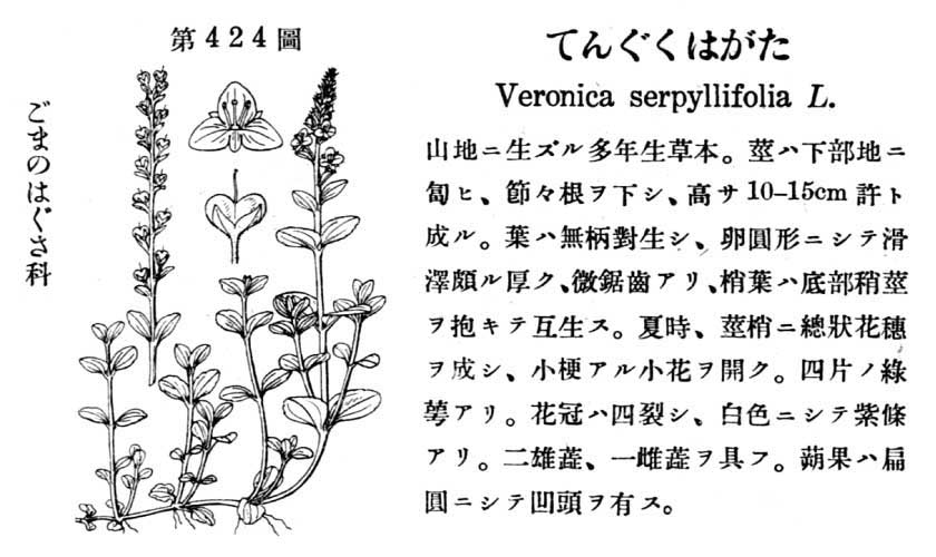 植物図鑑