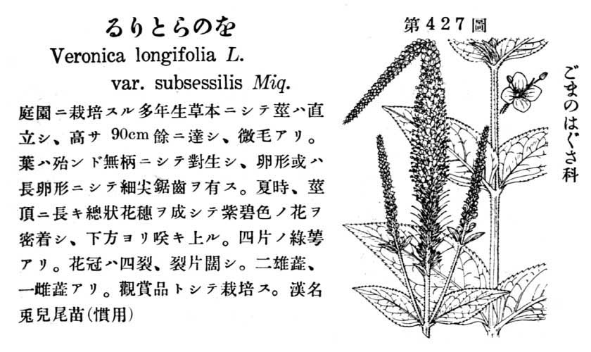 植物図鑑