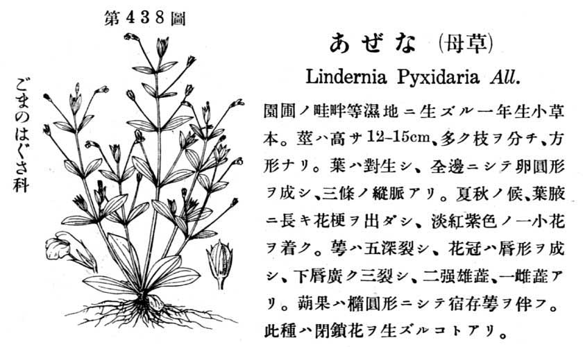 植物図鑑