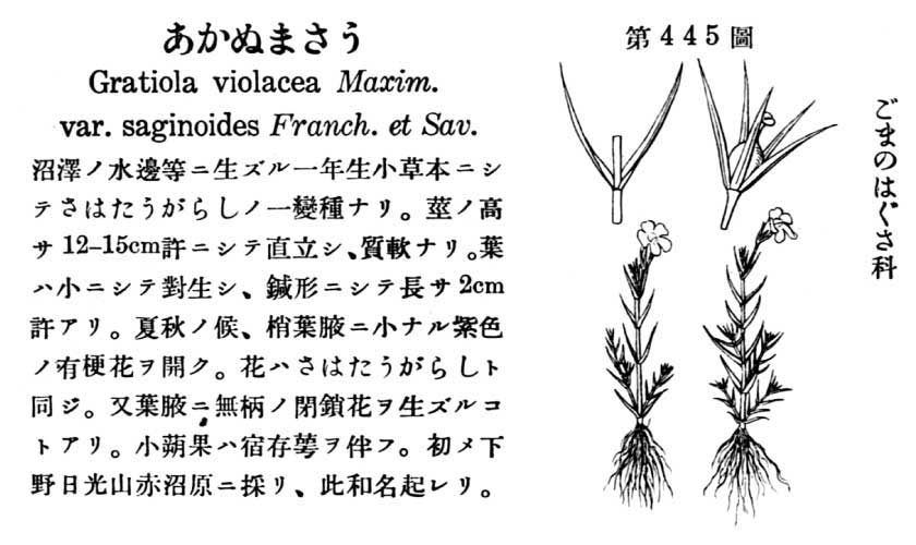 植物図鑑