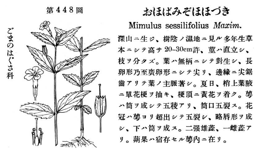 植物図鑑