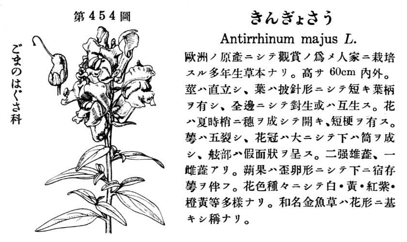 植物図鑑