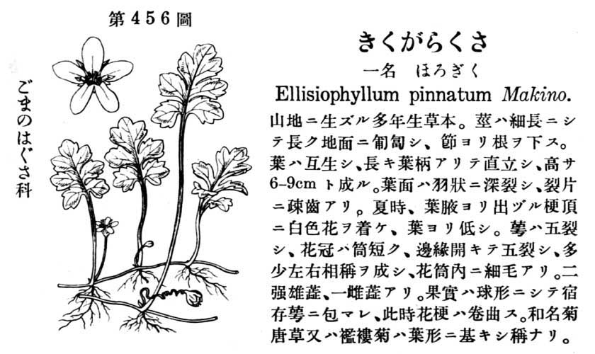 植物図鑑