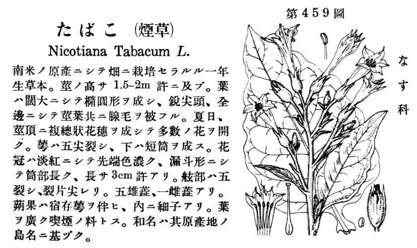 植物図鑑