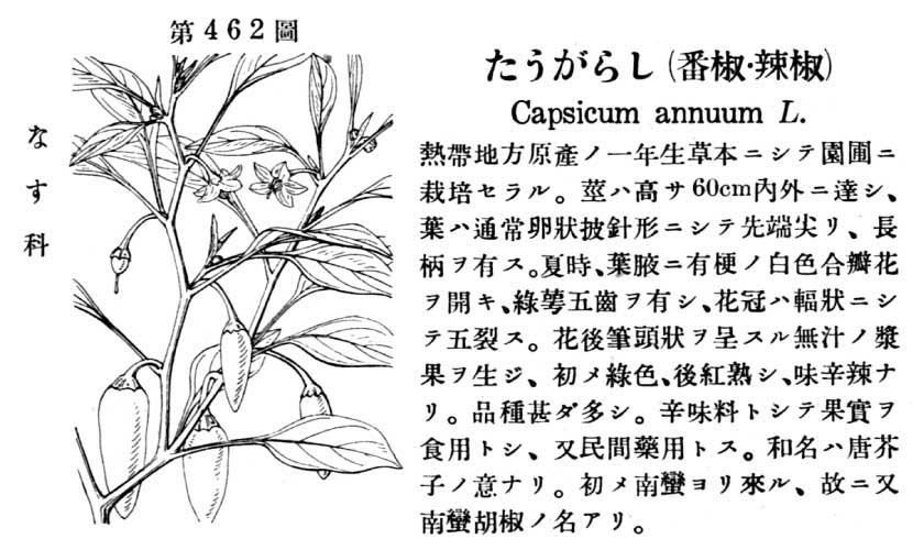 植物図鑑