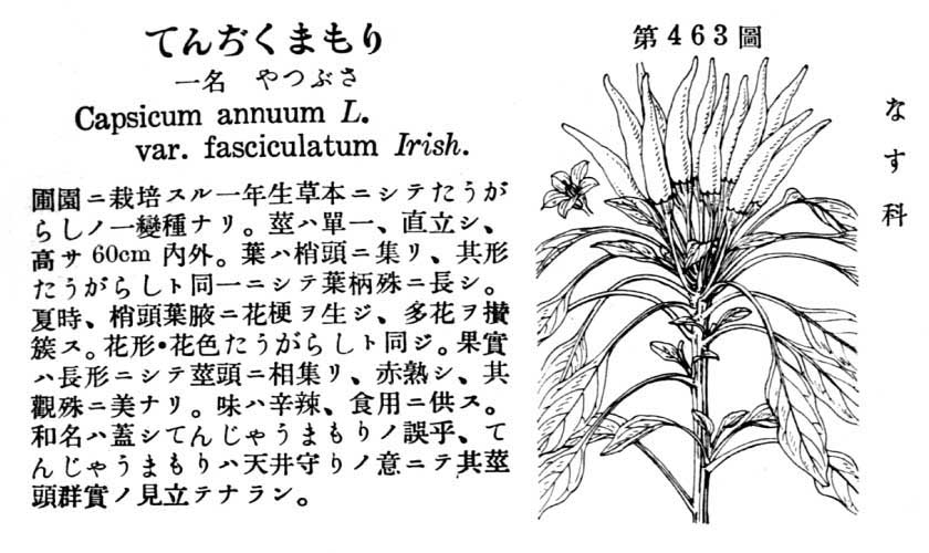 植物図鑑