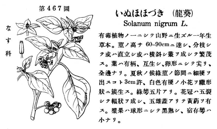 植物図鑑