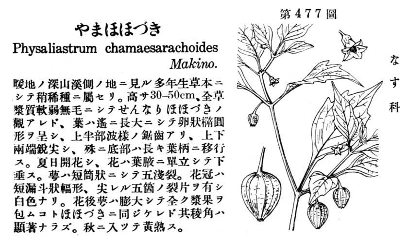 植物図鑑