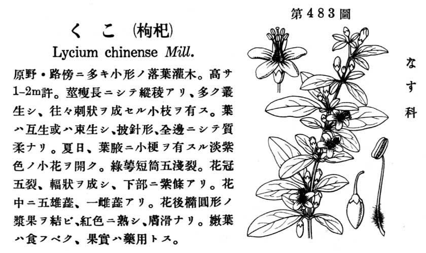 植物図鑑