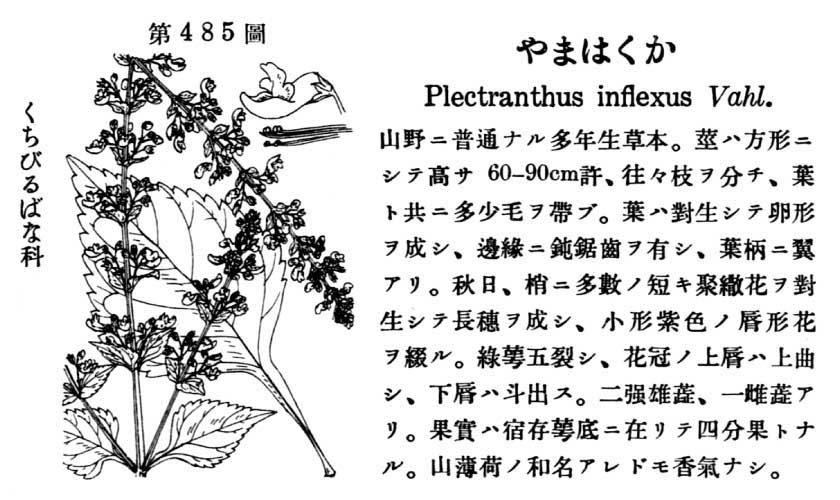 植物図鑑