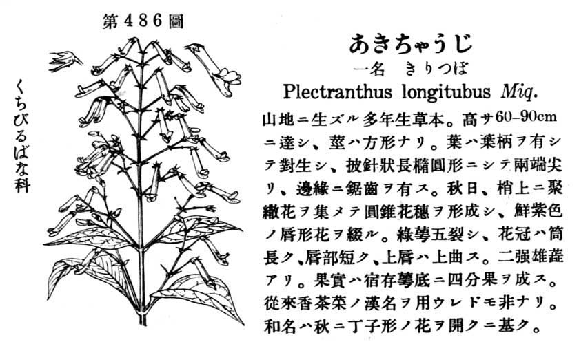 植物図鑑