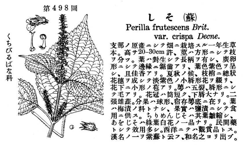 植物図鑑