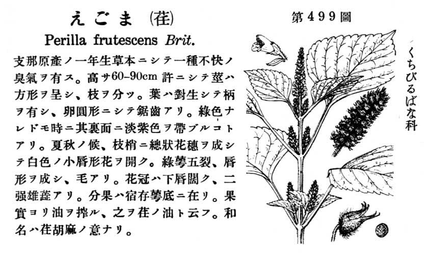 植物図鑑