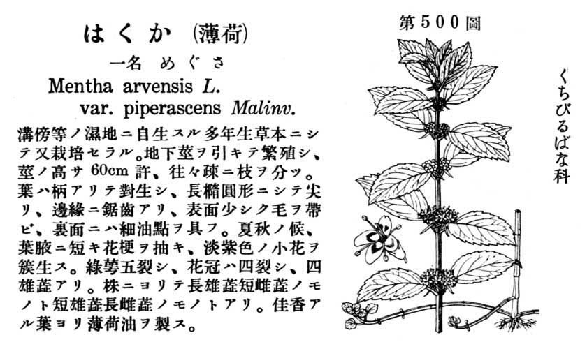 植物図鑑