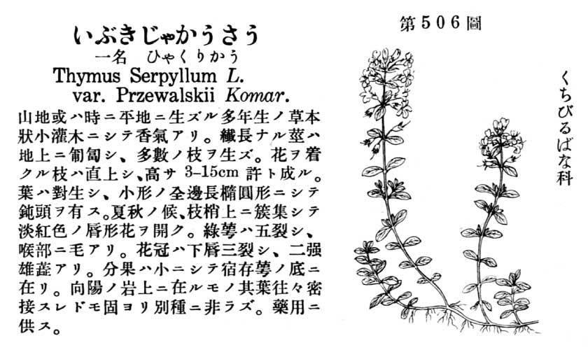 植物図鑑