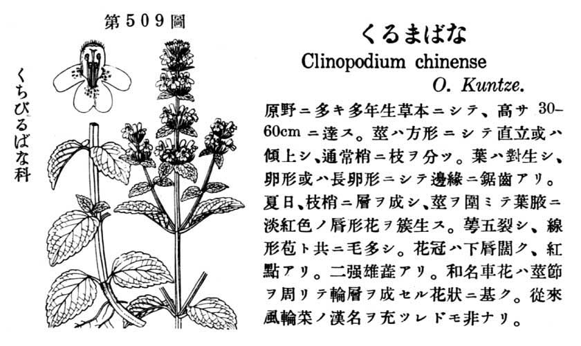 植物図鑑