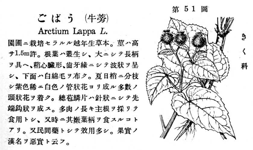 植物図鑑