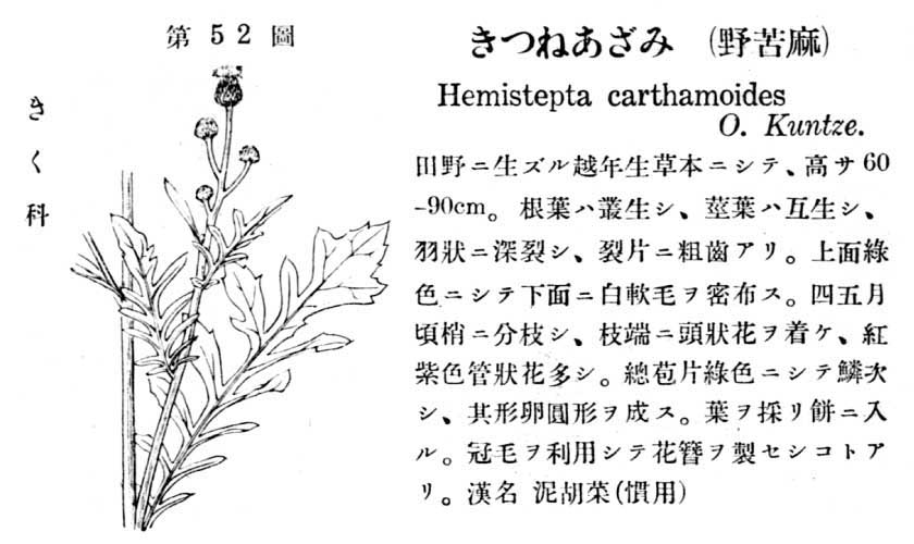 植物図鑑