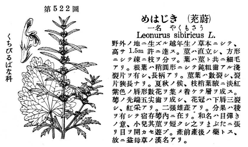 植物図鑑