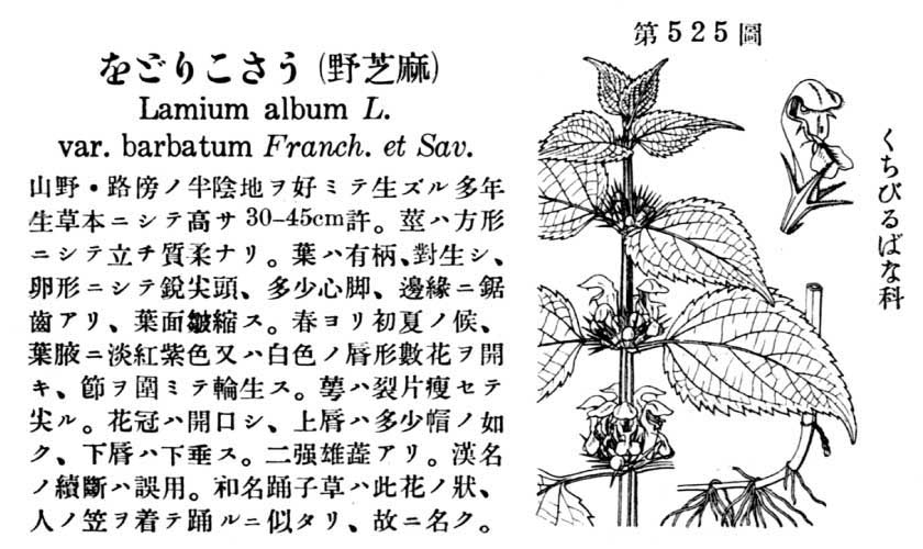 植物図鑑