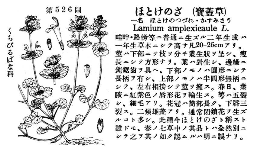 植物図鑑