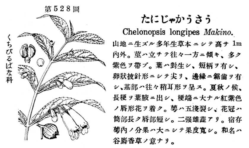 植物図鑑