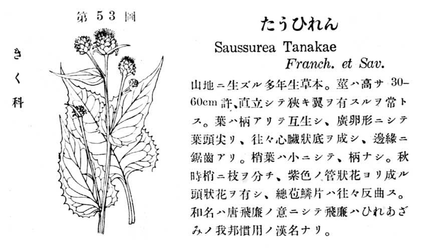 植物図鑑