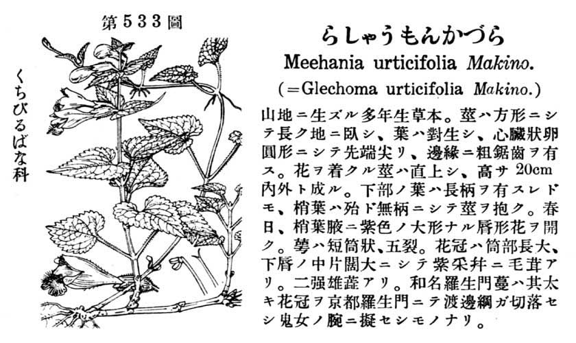 植物図鑑