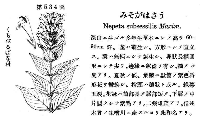 植物図鑑