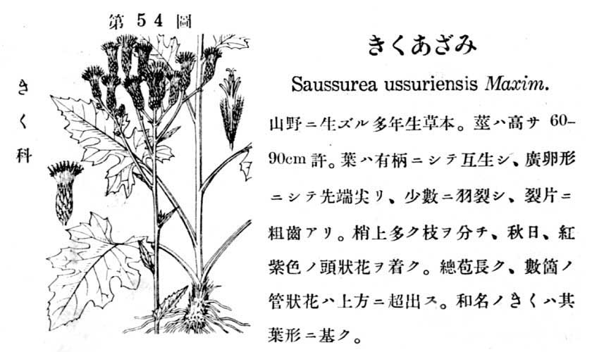 植物図鑑