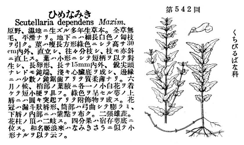 植物図鑑