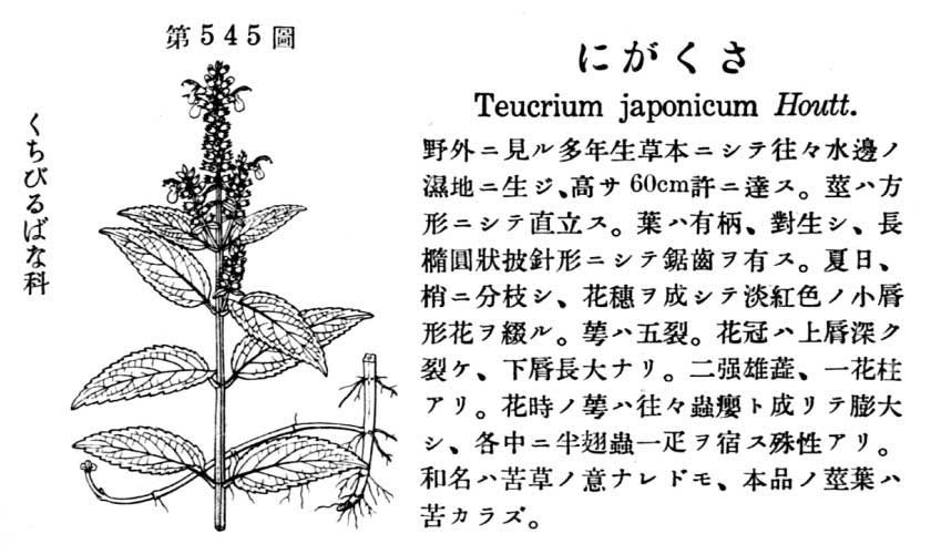 植物図鑑