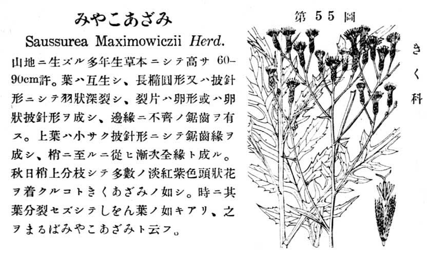 植物図鑑