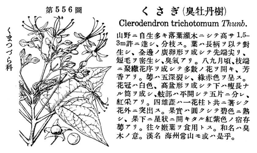 植物図鑑