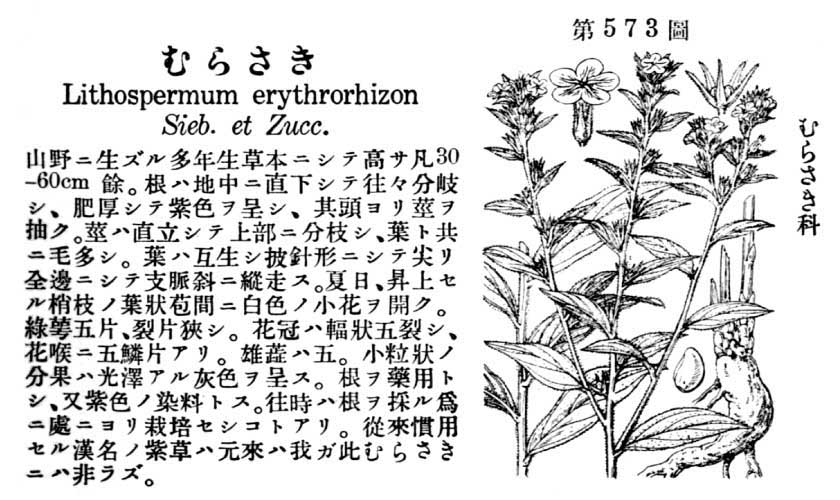 植物図鑑