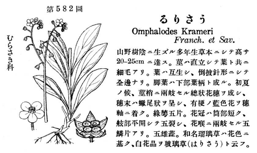 植物図鑑