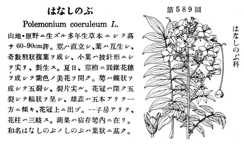 植物図鑑