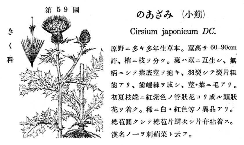 植物図鑑