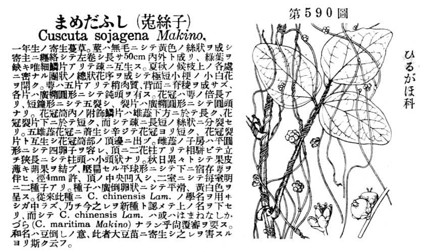 植物図鑑