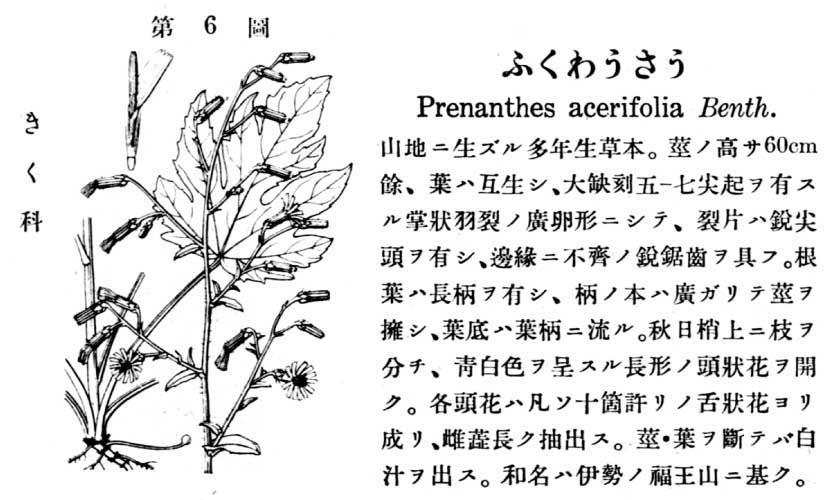 植物図鑑