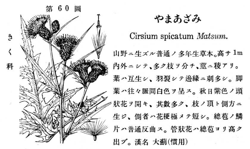 植物図鑑