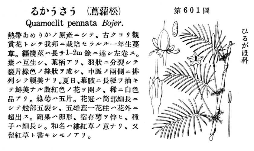 植物図鑑