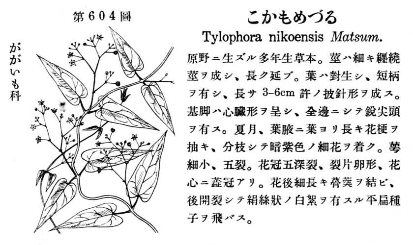 植物図鑑