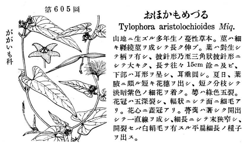 植物図鑑