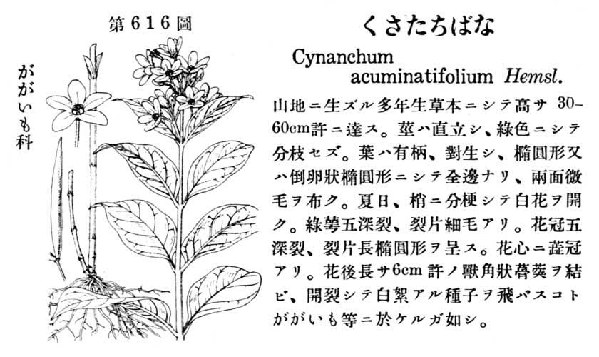 植物図鑑