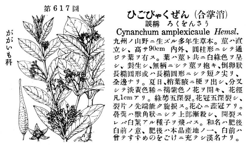 植物図鑑