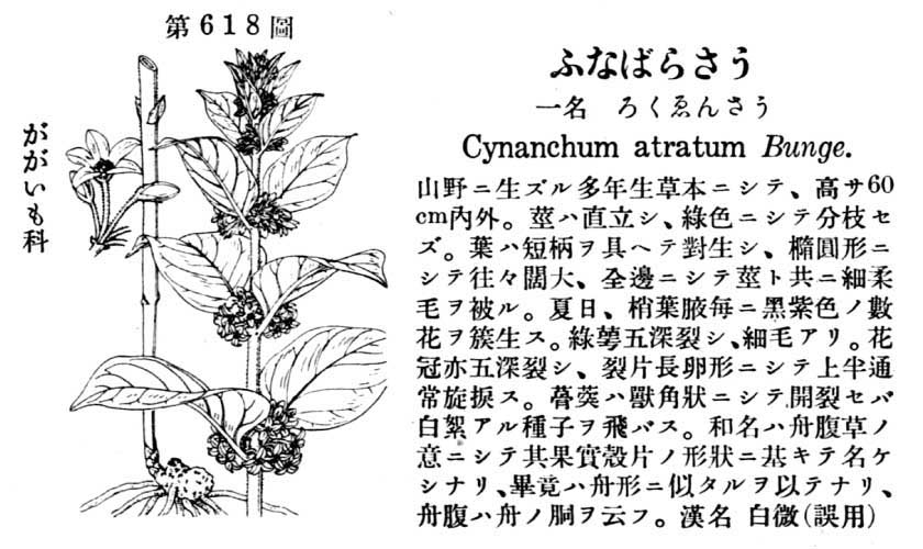 植物図鑑